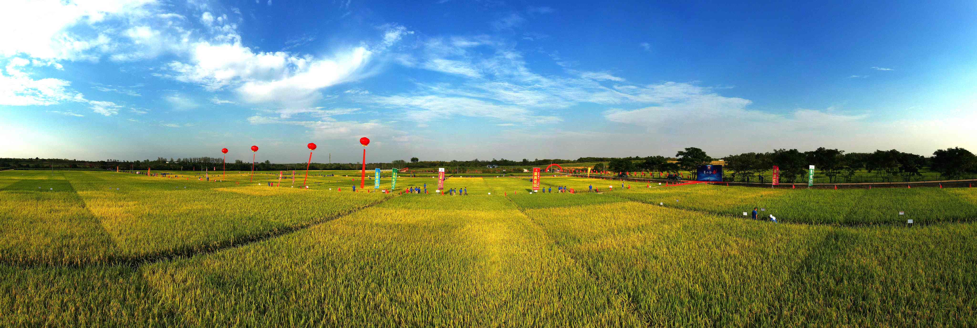 荃銀高科 版權所有 (50)(1).JPG 荃銀高科 版權所有 (50)(1).JPG